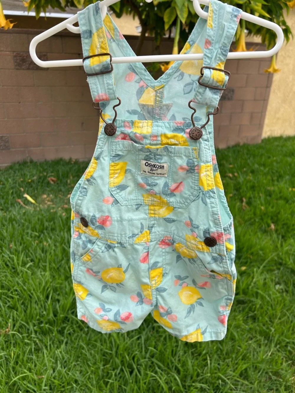 OshKosh B'gosh Aqua Lemon Print Overalls